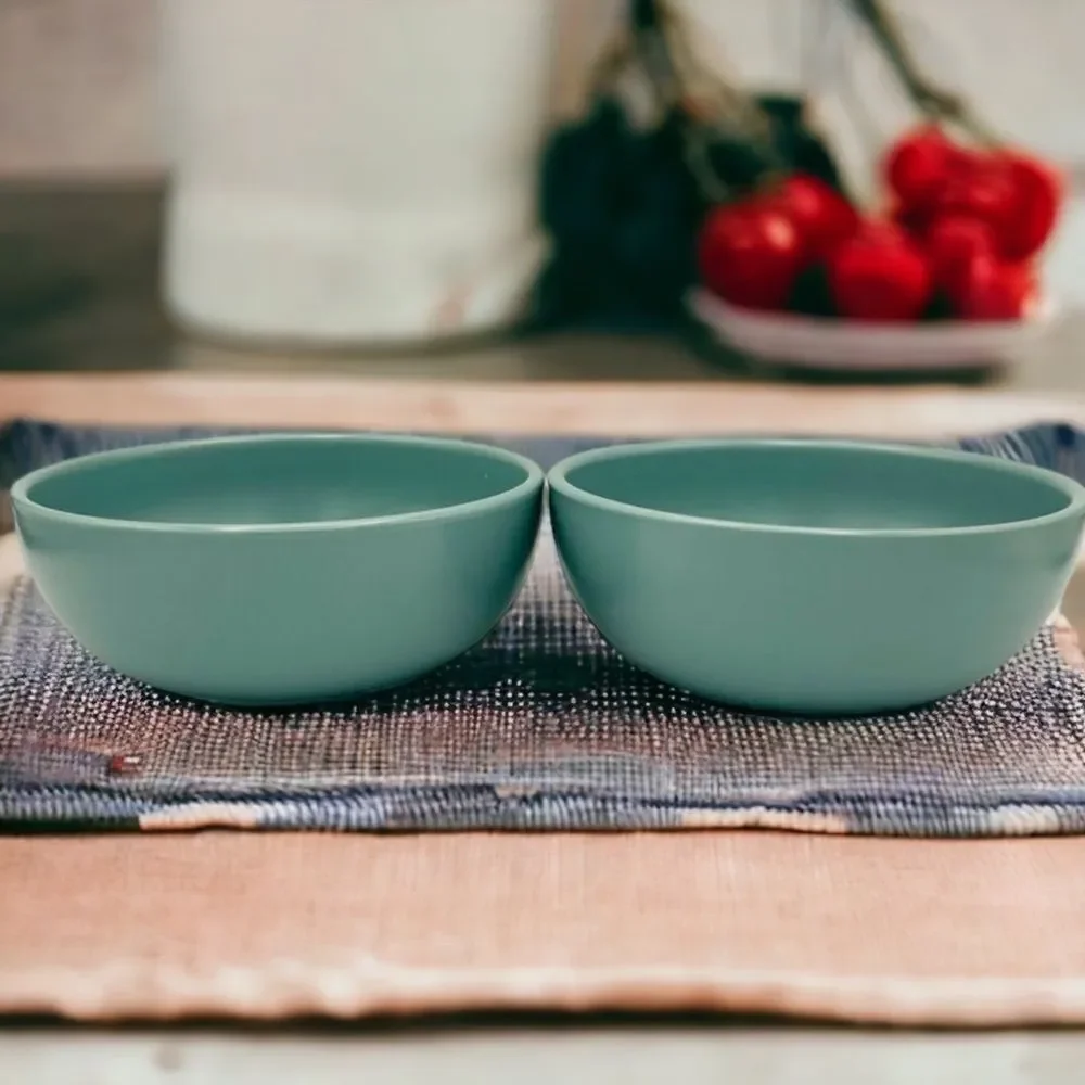 Crate&Barrel Blue Hue Matte Coupe Soup Cereal Bowls (2)